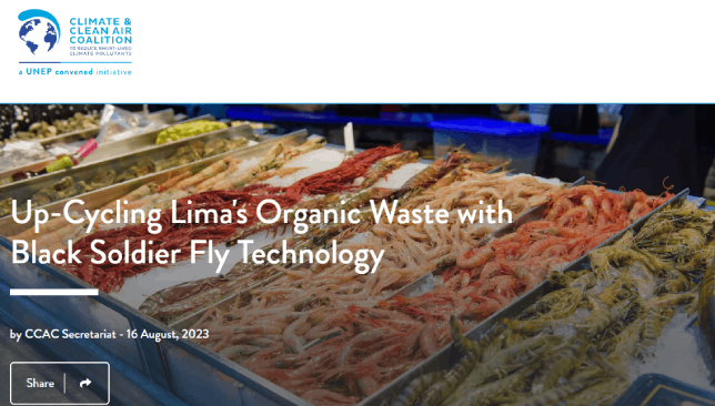 Up – Cycling Lima’s organic waste with black soldier fly technology: Una solución para resucir residuos y gas metano en el Perú